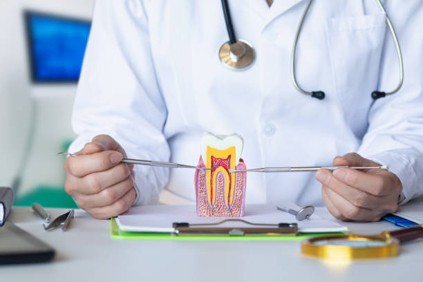 Best Pediatric Emergency Dentist in Whitehall, MI
